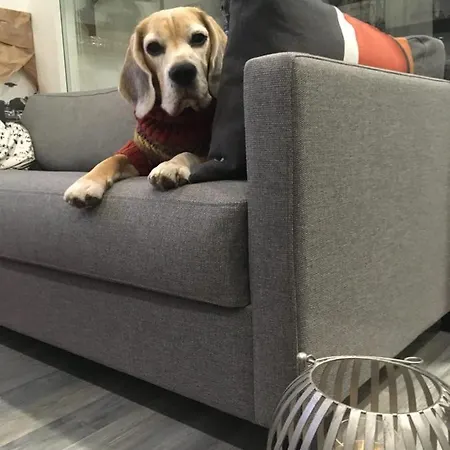 Aurinkoranta B4 Merinaekoealalla * Kalajoki