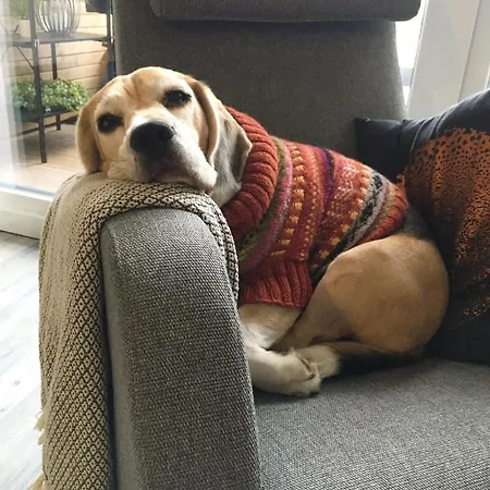 Aurinkoranta B4 Merinaekoealalla *